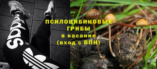 кокс Михайлов
