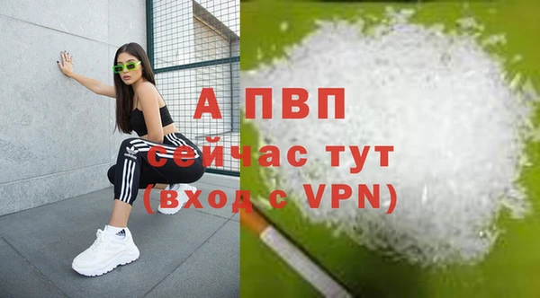 кокс Михайлов