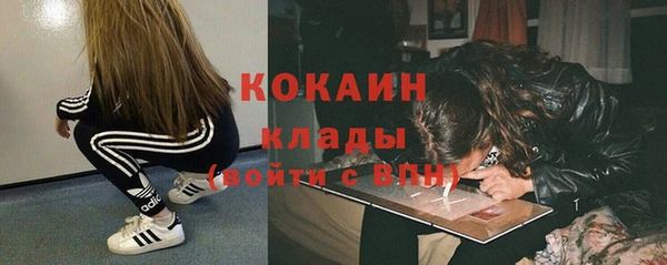 кокс Михайлов