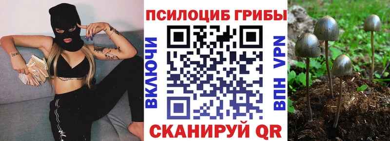 Галлюциногенные грибы Psilocybine cubensis Купить закладки Сергач